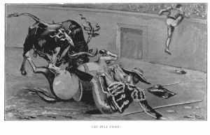 The Bull Fight